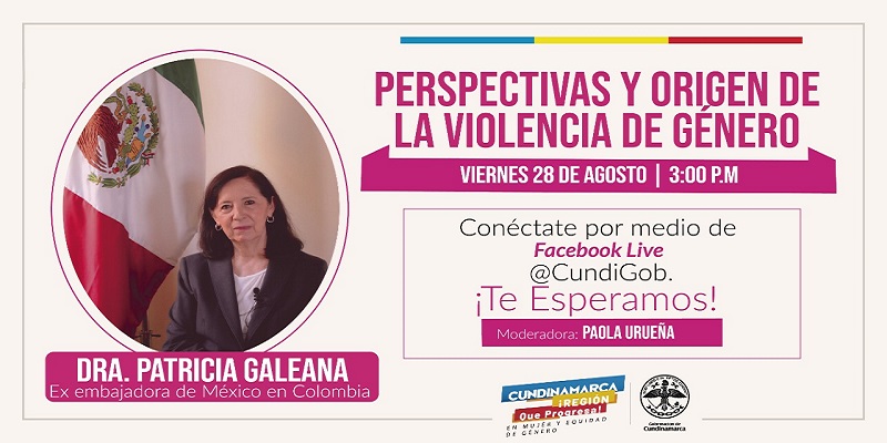 Perspectivas y Origen de la Violencia de Género

