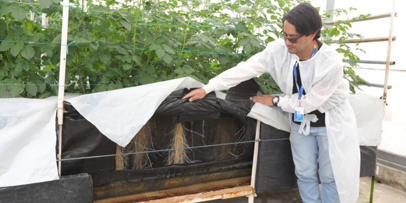 Agrosavia, aliado estratégico de Cundinamarca en investigación científica 



