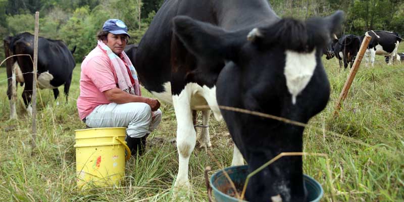 A tomar leche producida en Cundinamarca

