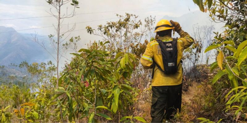 Cundinamarca reporta 15 incendios en 8 municipios, hay 90 hectáreas afectadas en dos días