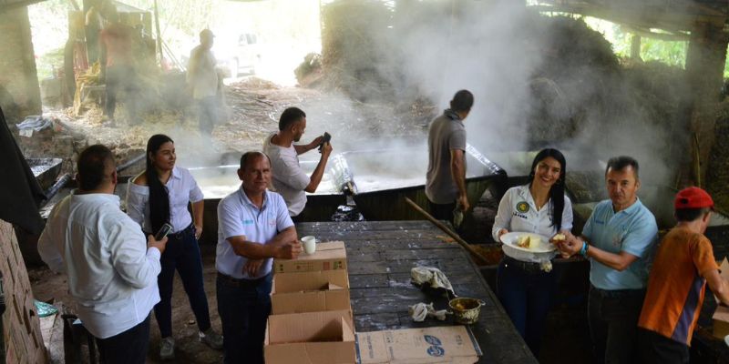 $549 millones impulsan la productividad panelera en La Peña