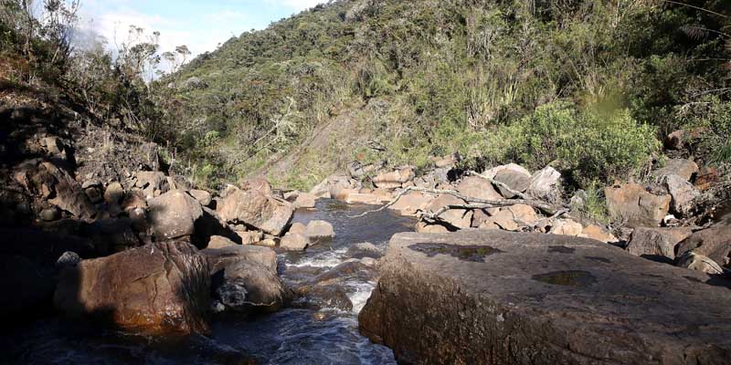 Páramos y bosques altos andinos serán conservados para garantizar el recurso hídrico a la región
 
