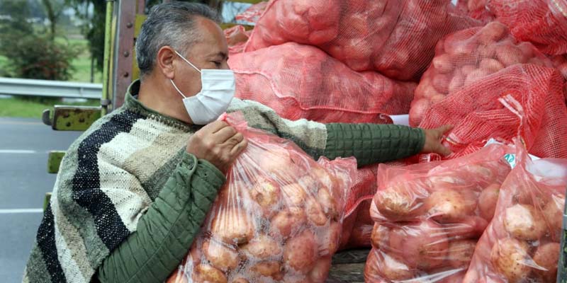 Sea buena papa, cómpreles papa a los campesinos cundinamarqueses
