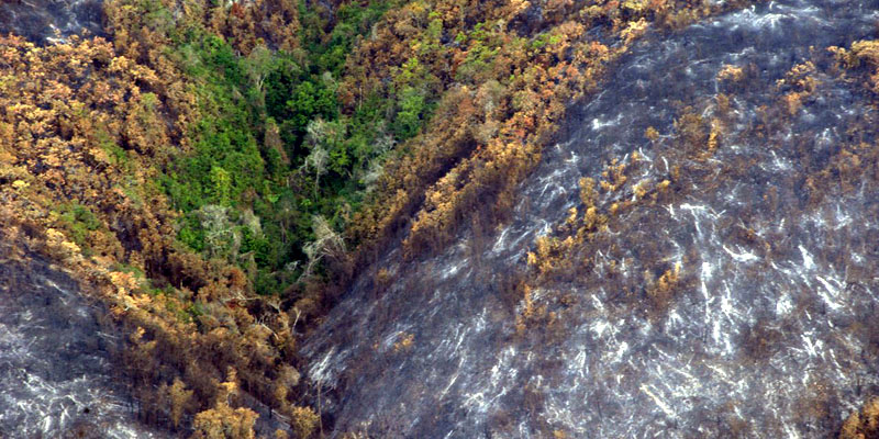 Controlado en 99% incendio forestal que llevaba tres días activo en Girardot





