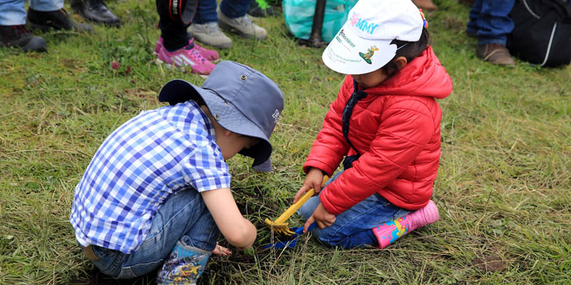 Mañana es el Día Mundial de la Educación Ambiental











