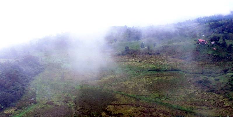 Cundinamarca, el departamento verde del país