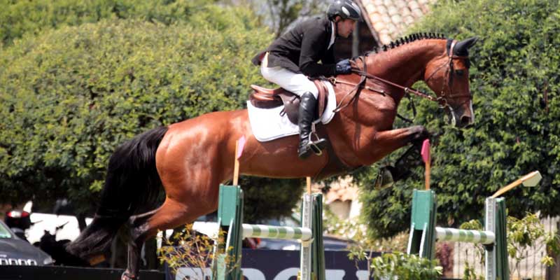 Culminó la Copa Ecuestre Gobernación de Cundinamarca 2017







































