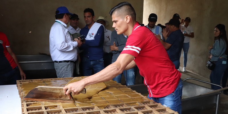 Paneleros cundinamarqueses con hornilla innovadora creada por Agrosavia 