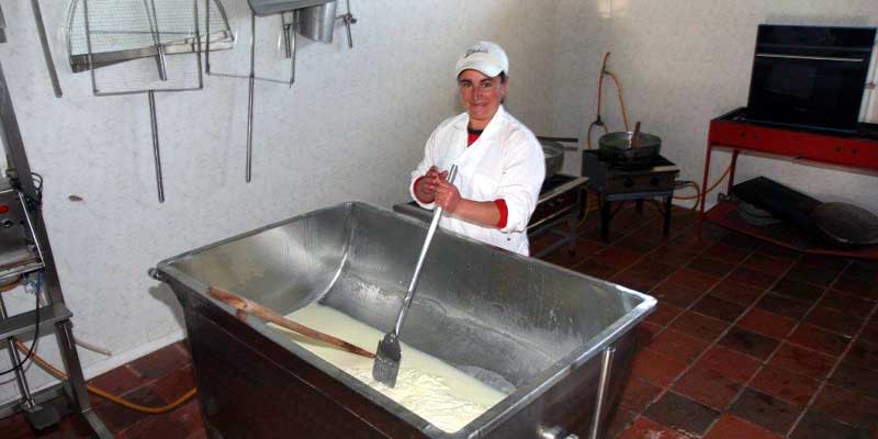 Mujeres emprendedoras contarán con apoyo para proyectos productivos