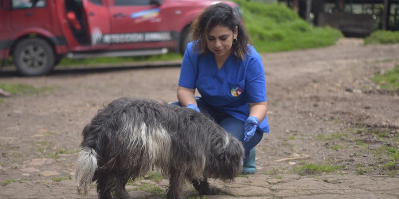 ¡El IPYBAC capacitará a 120 defensores de la vida animal!
