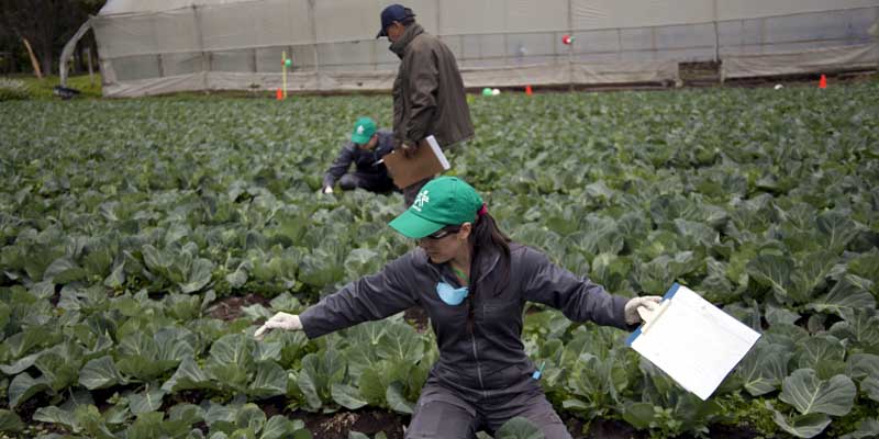 Cerca de 6.000 cupos de formación titulada disponibles en Cundinamarca



































