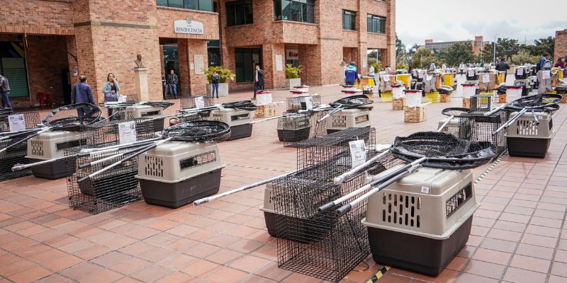 Cundinamarca cuenta con 40 nuevos kits para atender emergencias con fauna en 32 municipios