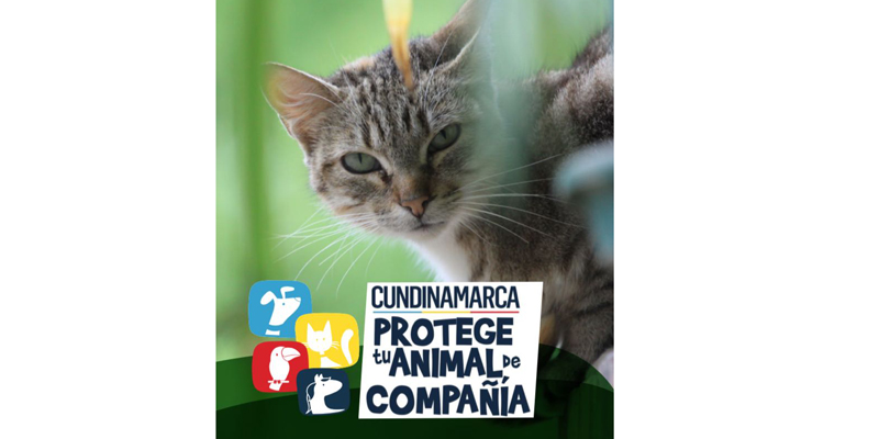 Cundinamarca consiente tu animal de compañía







































