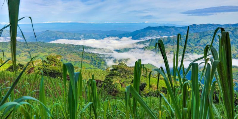 Turismo con propósito: Cundinamarca abre vitrina de negocios verdes en la Gobernación