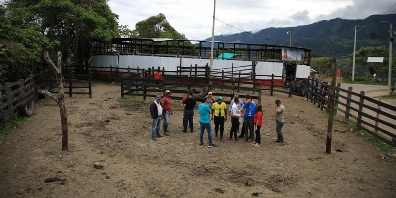 Avanza acuerdo sobre movilización de ganado entre productores de Venecia e ICA












