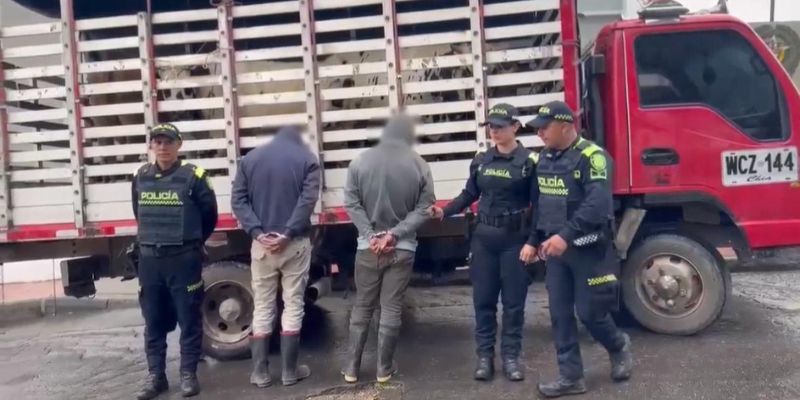 Cae banda que transportaba ganado robado rumbo a Bogotá