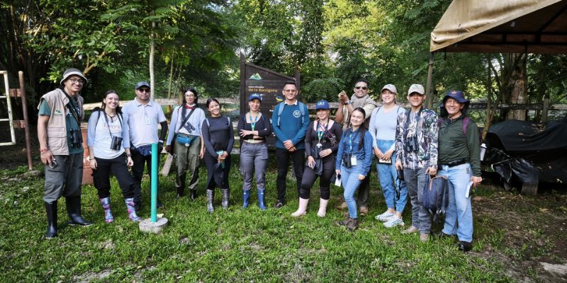 Cundinamarca se consolida como potencia nacional en avistamiento de aves durante el Global Big Day 2025