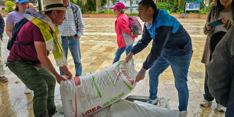 Caficultores de Machetá, Manta, Junín y Gachetá reciben fertilizantes para renovar sus cultivos y aumentar la productividad