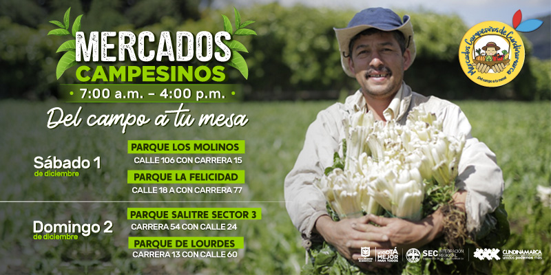 En marcha programa “Los campesinos producimos paz cotidiana”