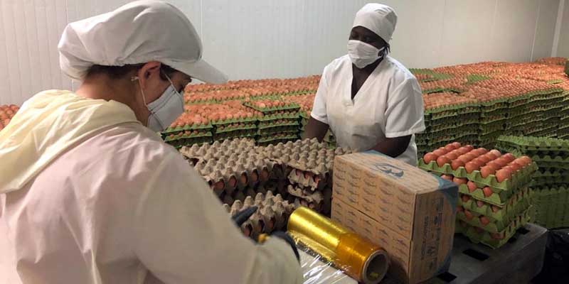 El Programa de Alimentación Escolar de Cundinamarca se fortalece






