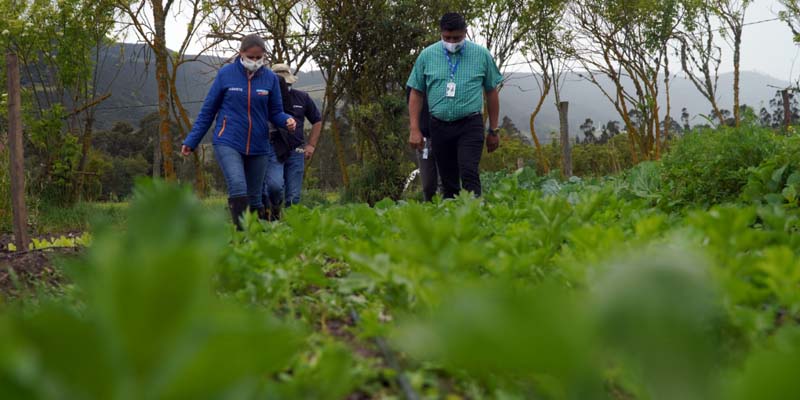 Agricultores reciben sistemas de riego para mejoramiento de producción