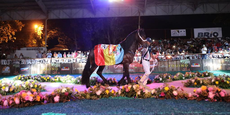 A todo galope en la Gran Feria Equina y Ganadera de ExpoCundinamarca 2022  


