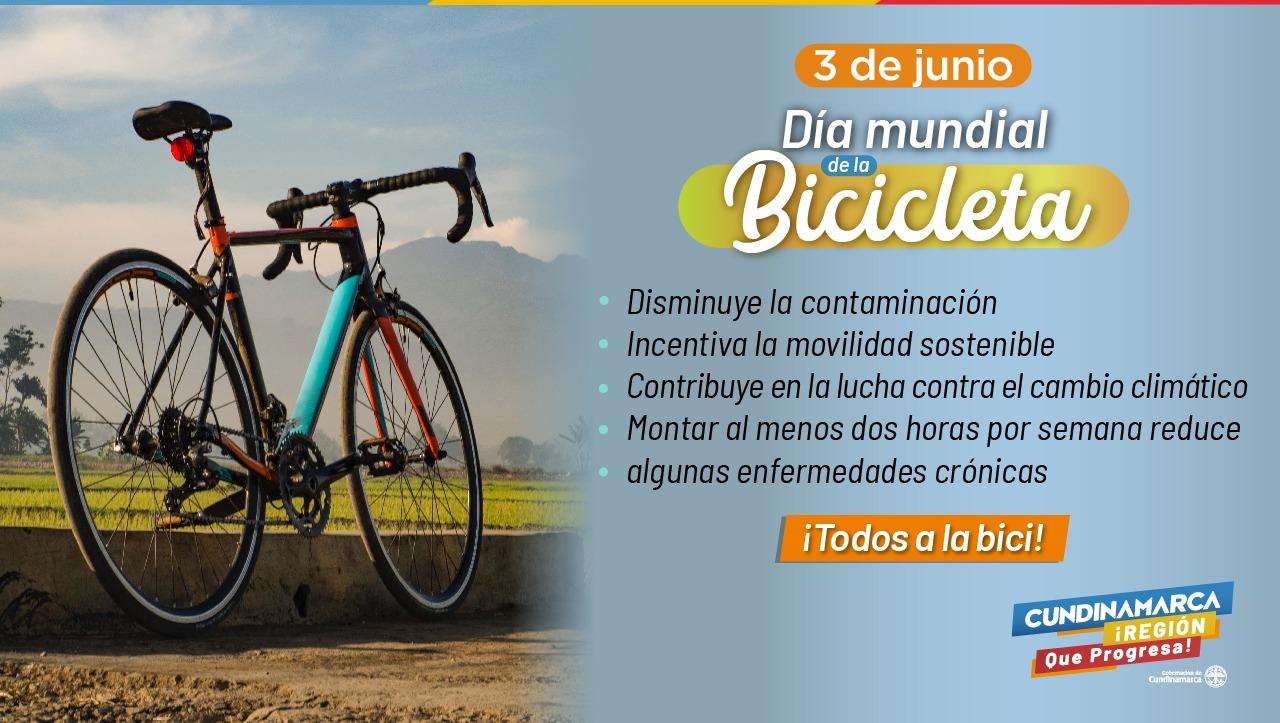 Día Mundial de la Bicicleta