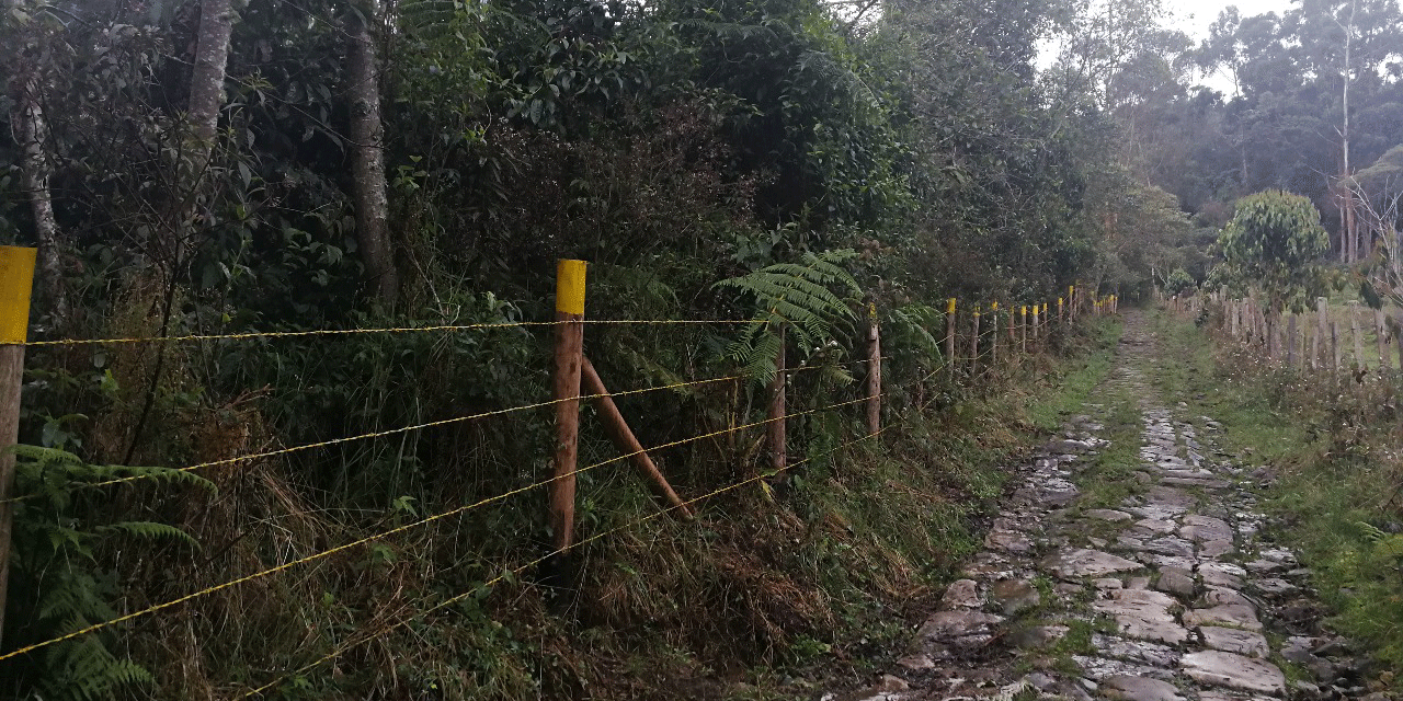 Cerca de $9.500 millones para recuperación y conservación ambiental en Cundinamarca


















































