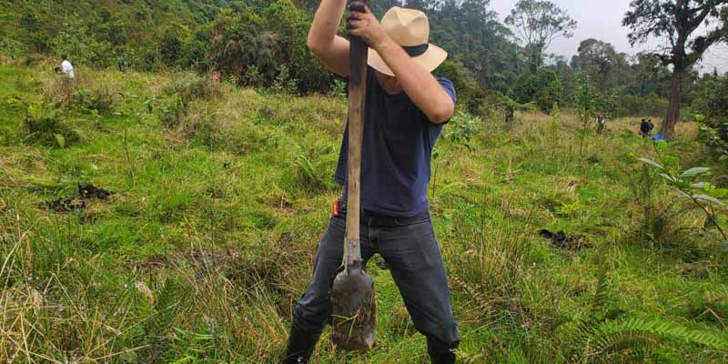 La Secretaria TIC sembró 1.000 árboles en Fusagasugá









