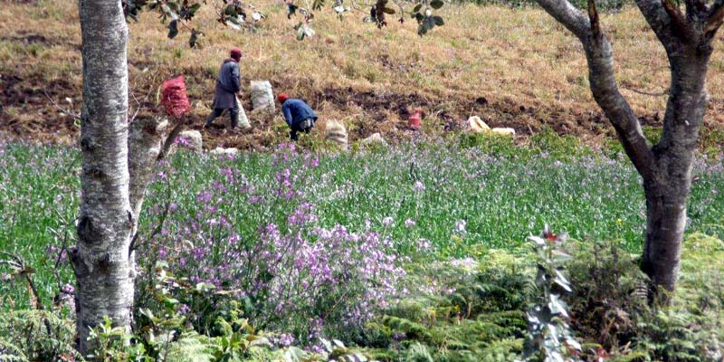 Abastecimiento agroalimentario se toma las provincias de Ubaté y Sumapaz
