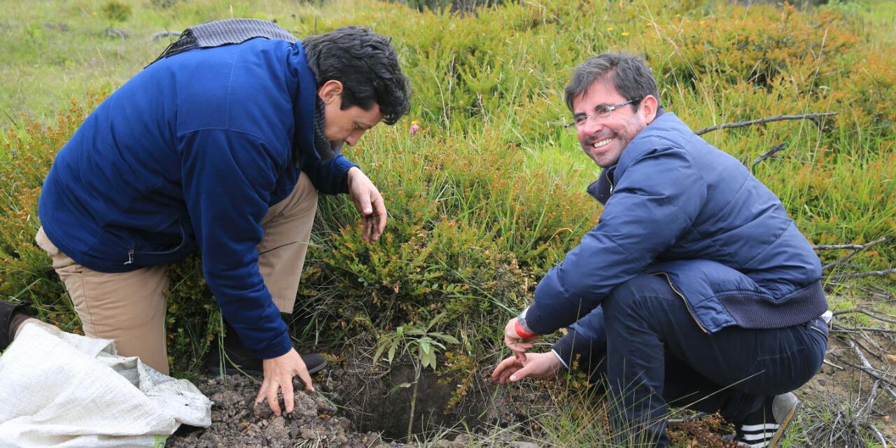 Un millón de árboles se sembrarán en Cundinamarca