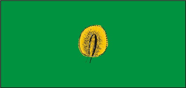Bandera