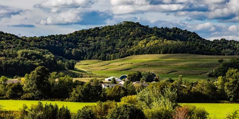Cundinamarca se consolida como despensa agroalimentaria, saludable, eficiente y competitiva del país


