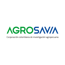 Imagen: Estudios del Sector Agropecuario