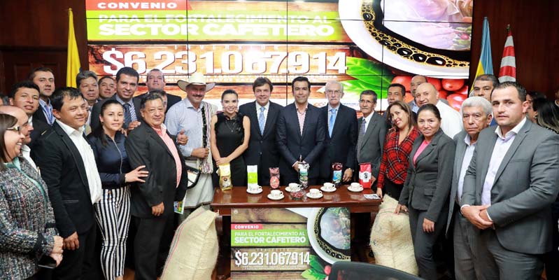 Más de $12.200 millones para impulsar renovación del sector cafetero en Cundinamarca