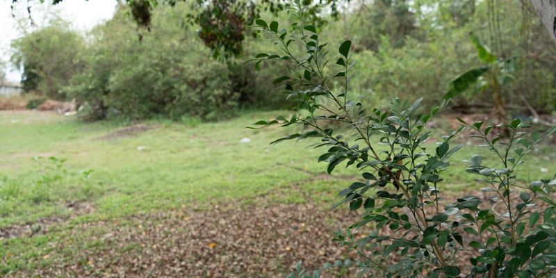 Predio de $123 millones, cedido a Agua de Dios para vivero que aportará a la recuperación del río Bogotá


