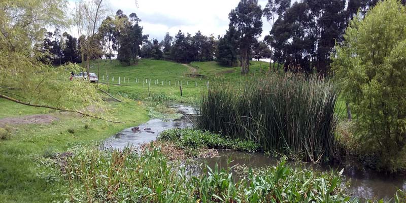 Cundinamarca recibe premio de Medio Ambiente Europeo - Edición 2020


