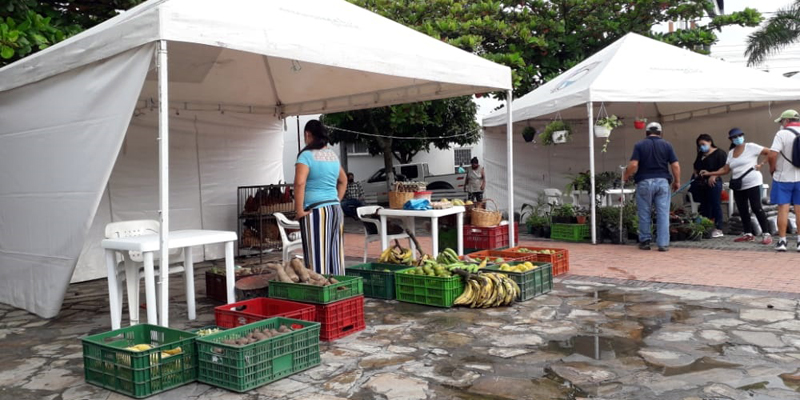 Vuelven los mercados campesinos a Anapoima


