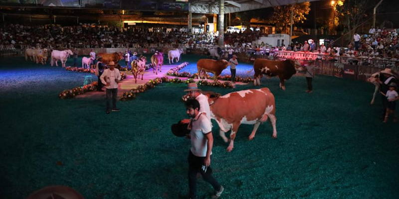 A todo galope en la Gran Feria Equina y Ganadera de ExpoCundinamarca 2022  


