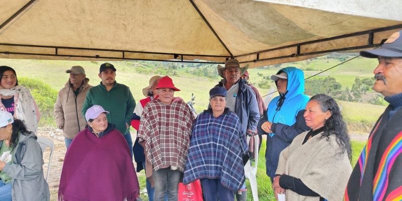Más de $215 millones para mejorar la producción de papa en Cundinamarca con semilla certificada
