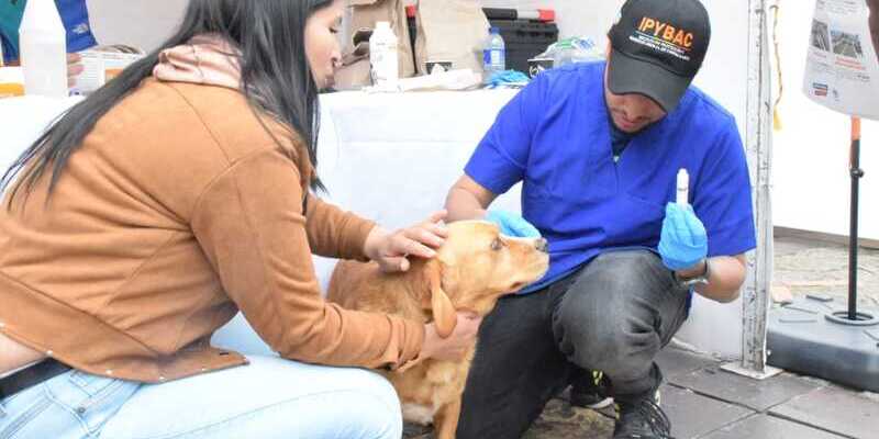 Feria de Servicios de la Gobernación de Cundinamarca en Guatavita