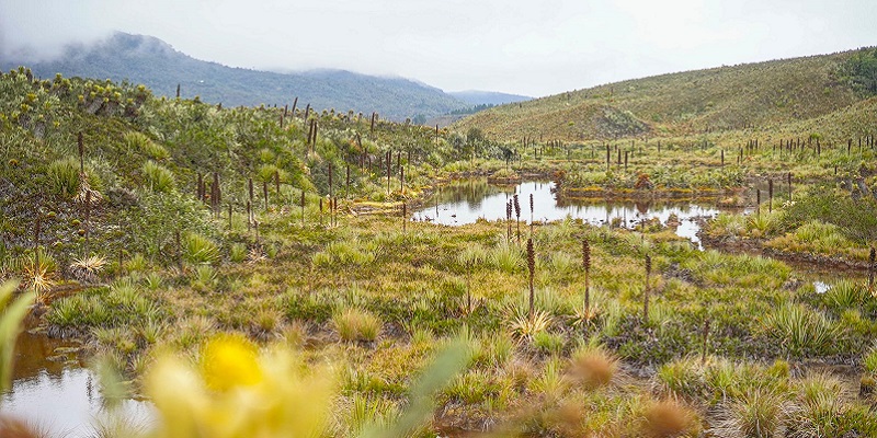 Compromiso renovado: Cundinamarca y su incansable lucha por el Río Bogotá


