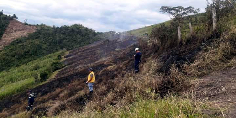 En lo corrido del año se han registrado más de 270 incendios forestales en Cundinamarca 





