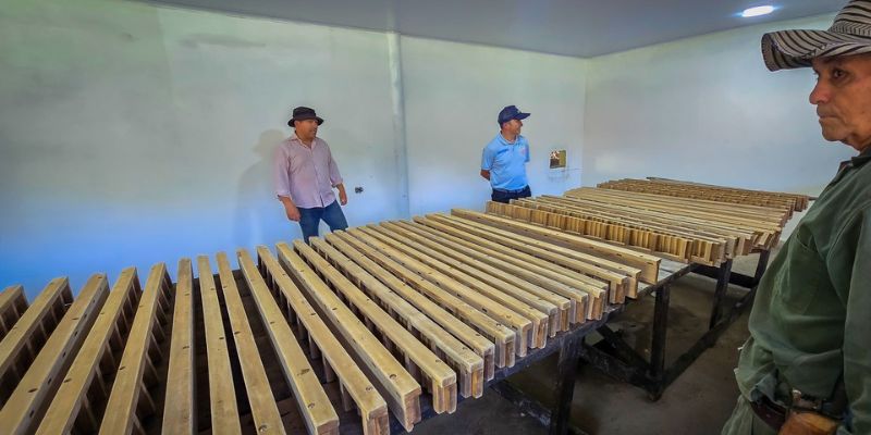 10 nuevos cuartos de moldeo elevan la calidad de la panela en Vergara