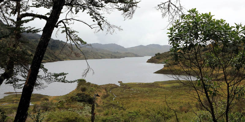 Mañana es el Día Mundial de la Educación Ambiental











