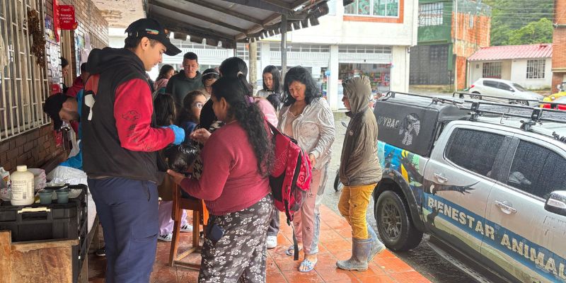 85 perros y gatos afectados por la emergencia invernal en Quetame reciben atención