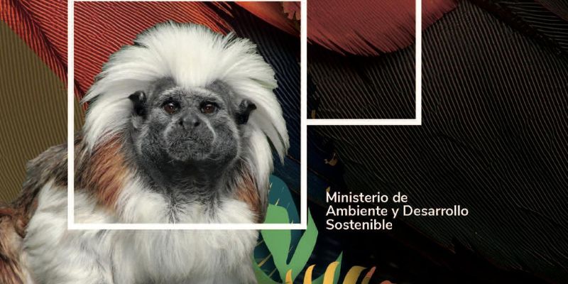 Política Nacional de Bienestar Animal 2025–2034 asignará más de $8.000 millones para el cuidado en Cundinamarca
