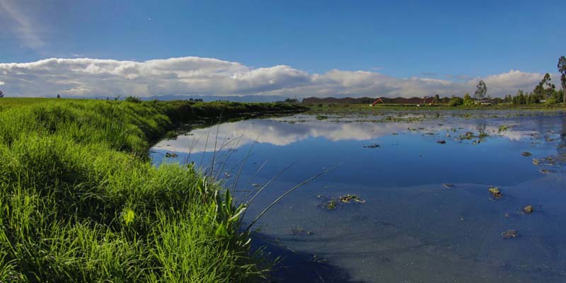 Histórica inversión para recuperación de espejos de agua
























