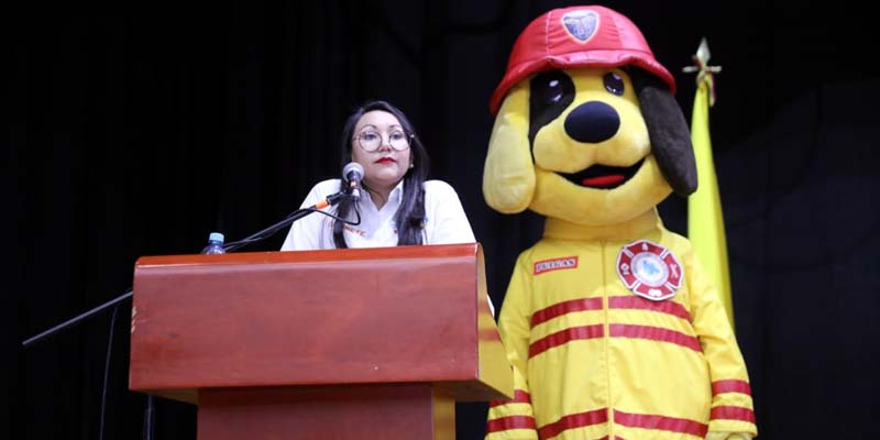 Cundinamarca contaría con un observatorio del Riesgo