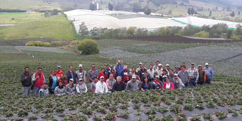 La ciencia, la tecnología y la innovación al servicio del sector agropecuario y agroindustrial de Bogotá y Cundinamarca










